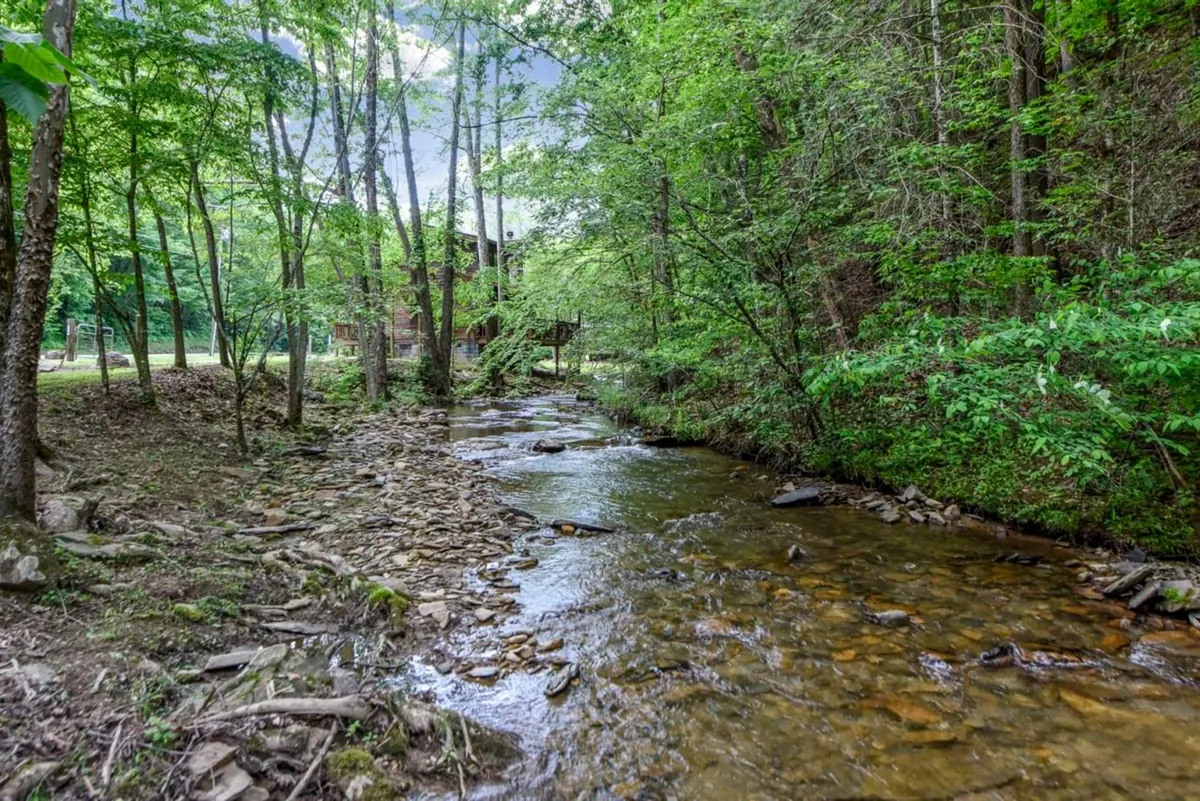 A tranquil creek flows gently alongside dense greenery, with a charming wooden cabin visible in the background. The scene evokes a sense of peace and relaxation, perfect for wildlife watching, stargazing, or unwinding by a campfire near the water.