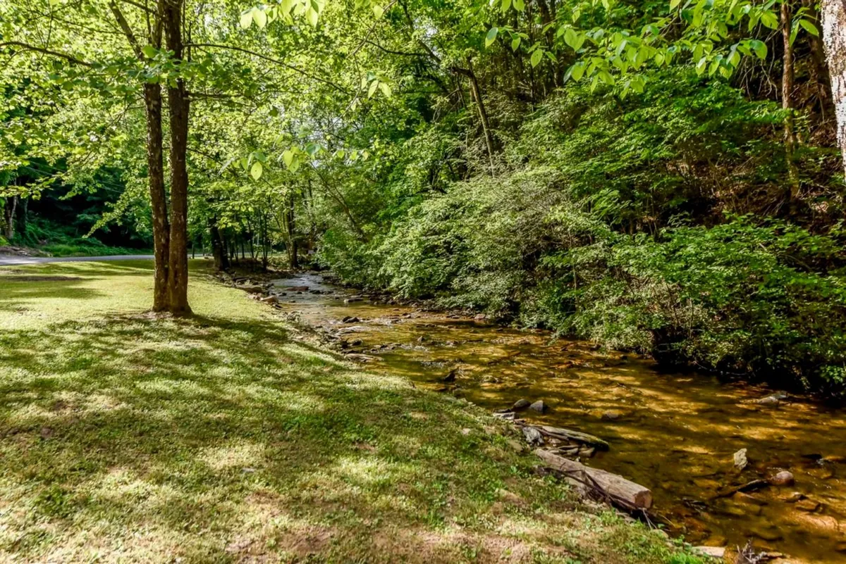 A peaceful outdoor scene with a flowing creek bordered by lush grass and mature trees. The setting is ideal for nature walks, picnics, or bird watching, and the natural beauty of the surroundings creates a serene, immersive outdoor experience.